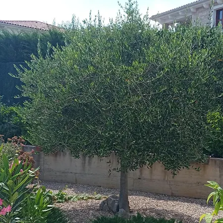 Marie 5-sterne וילה